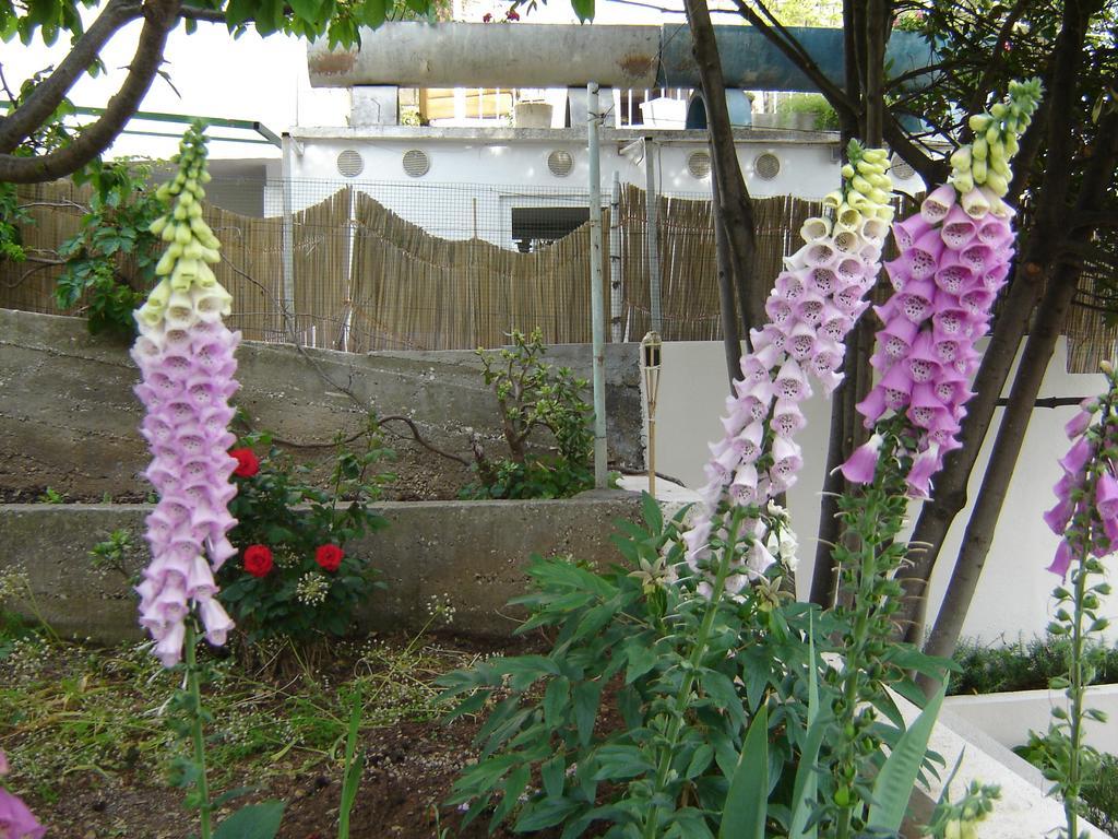 Apartmani Luna Hvar Town Szoba fotó