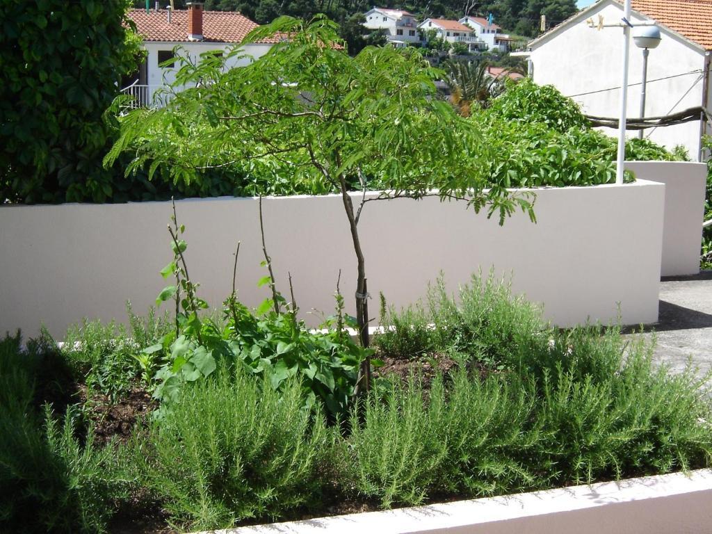 Apartmani Luna Hvar Town Kültér fotó