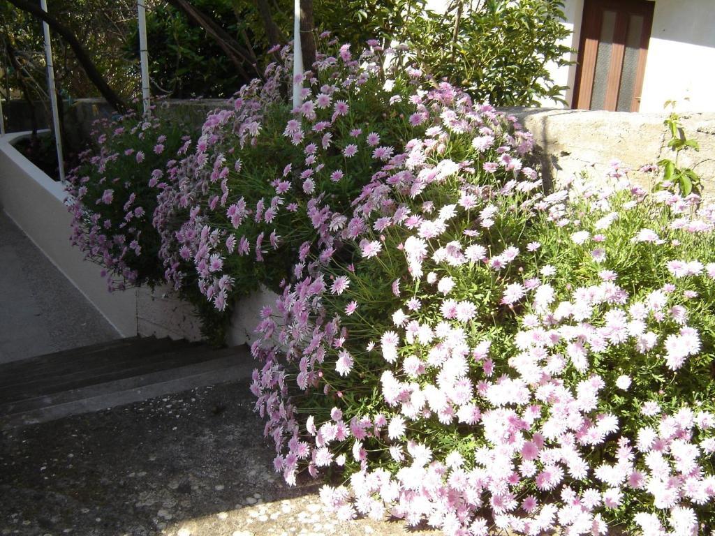 Apartmani Luna Hvar Town Szoba fotó