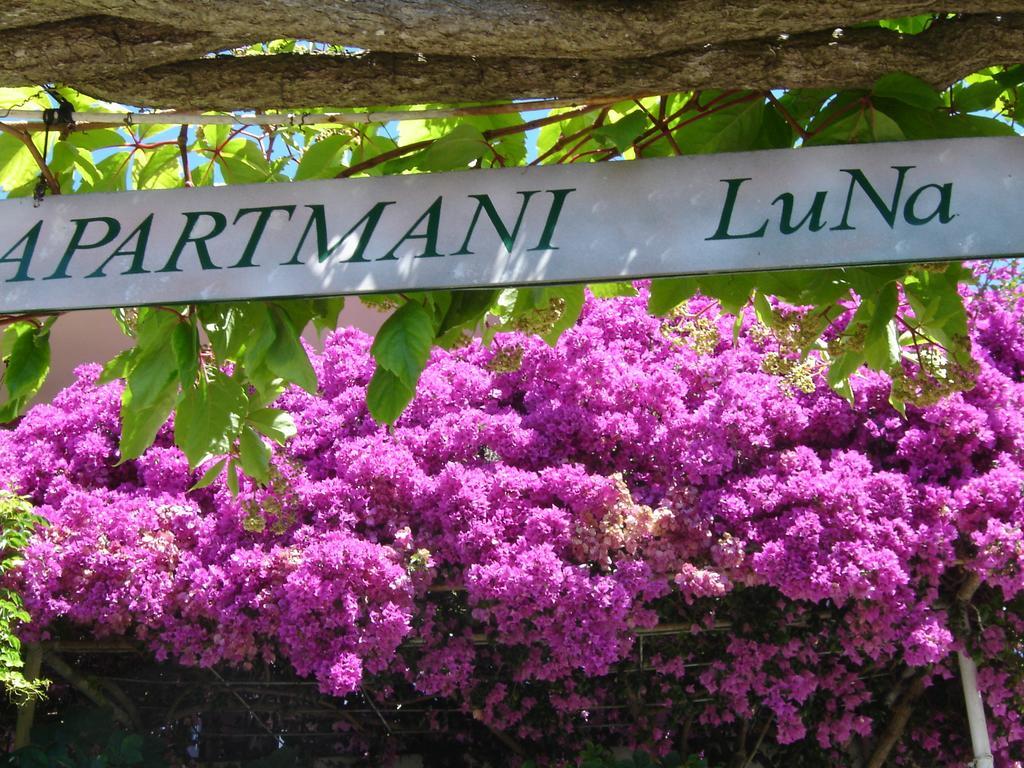 Apartmani Luna Hvar Town Kültér fotó